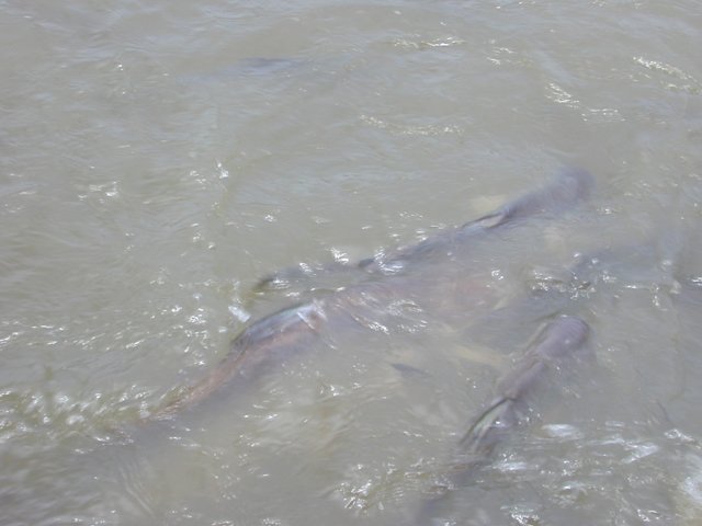 picture072.jpg