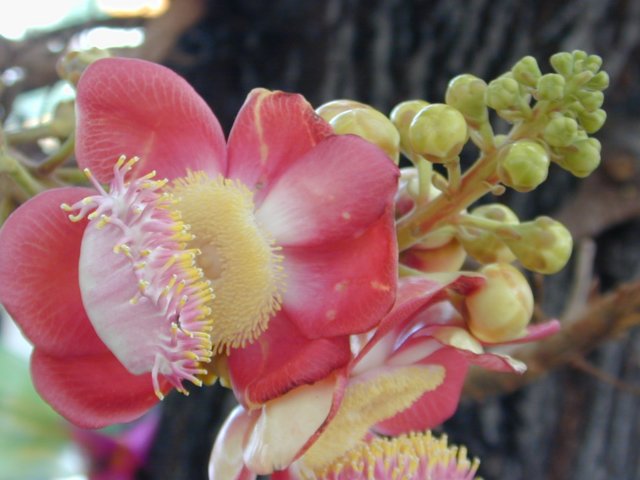 picture104.jpg