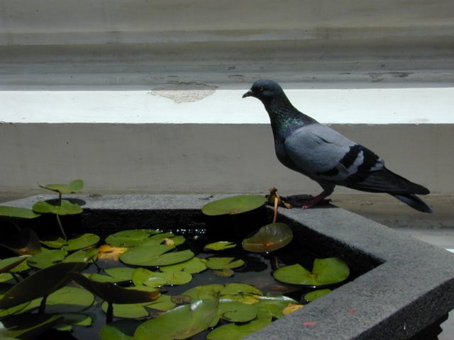 picture108.jpg