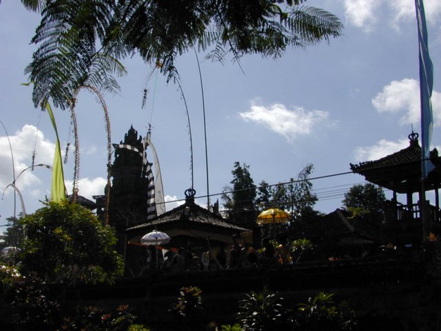 picture340.jpg