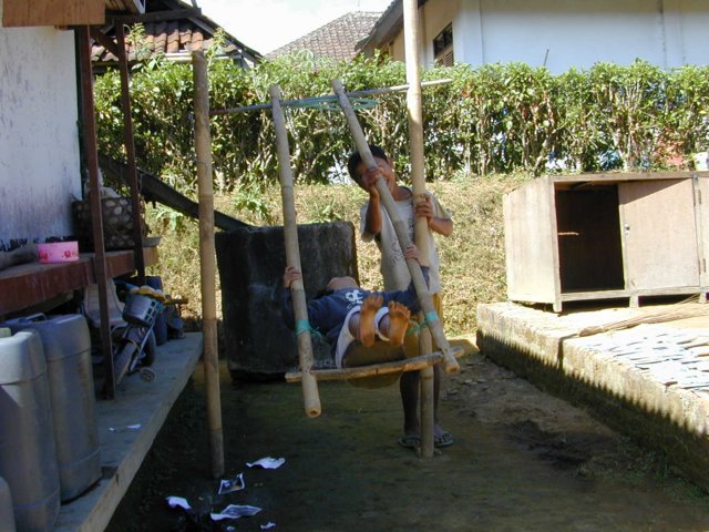 picture346.jpg