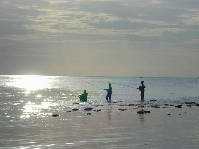 picture487.jpg