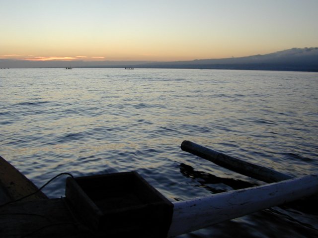 picture503.jpg