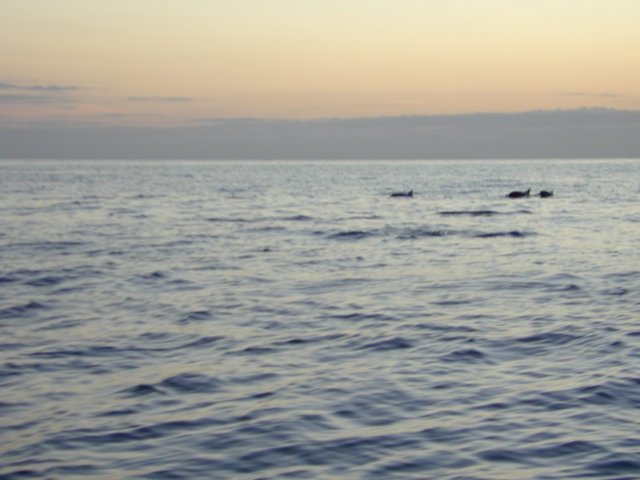 picture505.jpg