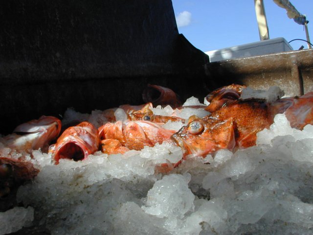 picture573.jpg