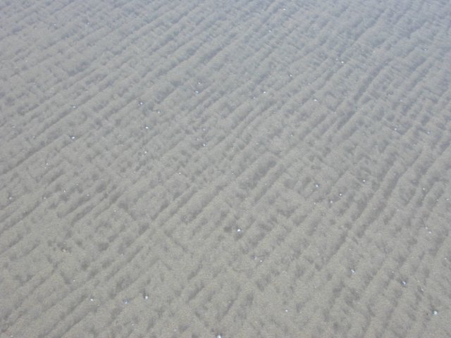 picture601.jpg