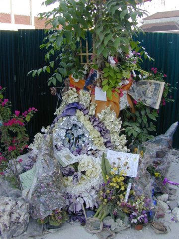 picture625.jpg
