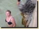 thumb422.png