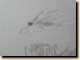 thumb547.png